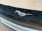 2024 Ford Mustang EcoBoost Premium Convertible